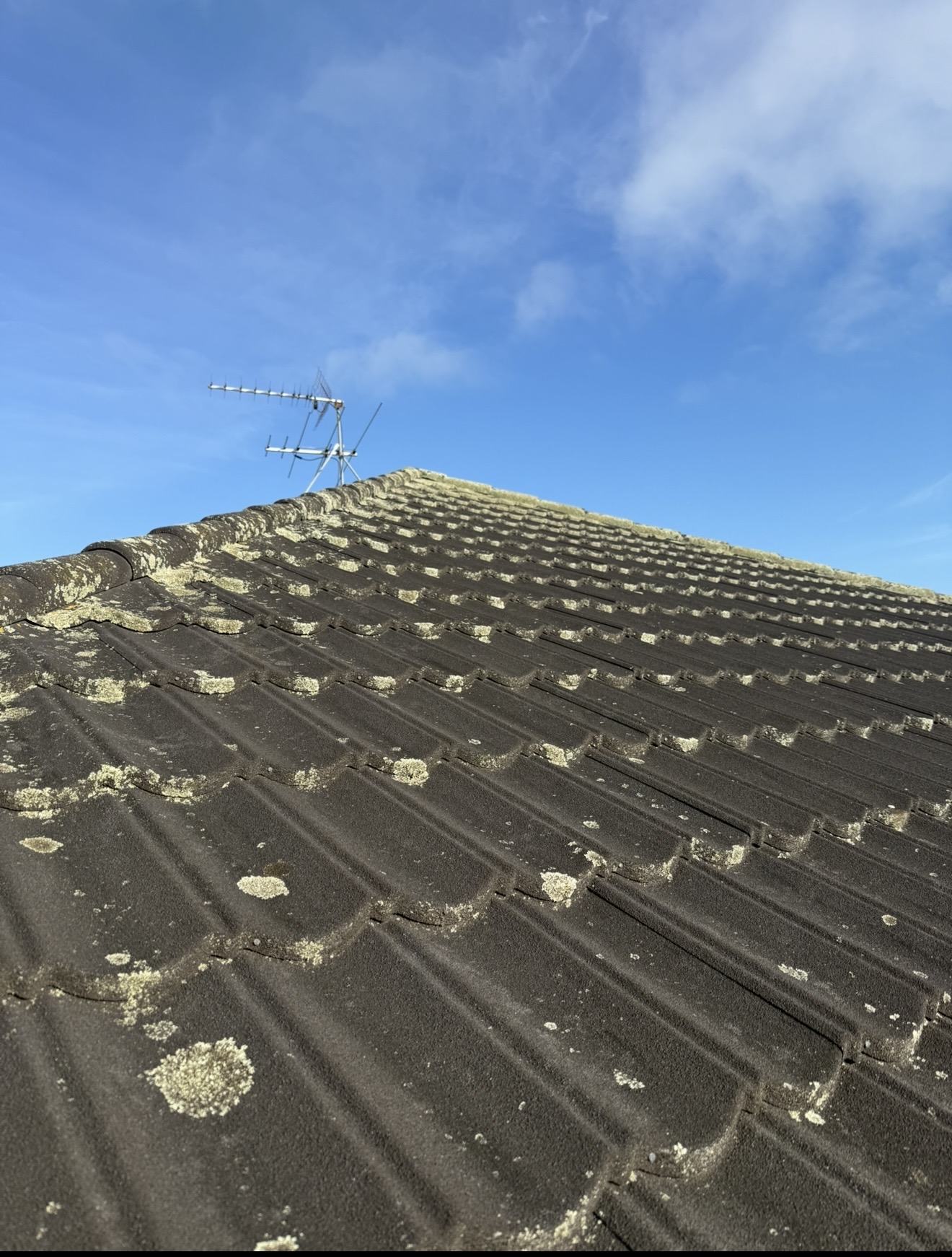Roof Treatment – Before